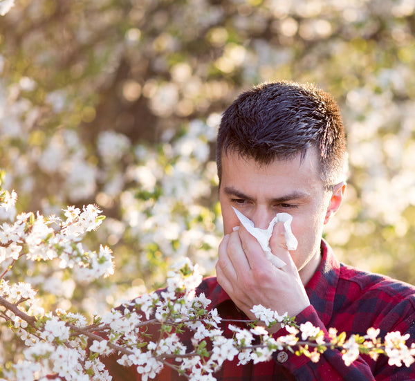 Understanding Seasonal Allergies
